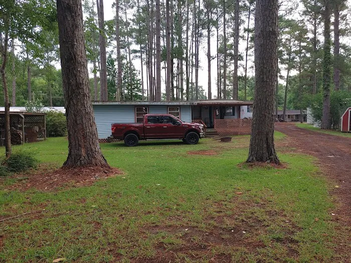 Esto Landing Picture 8