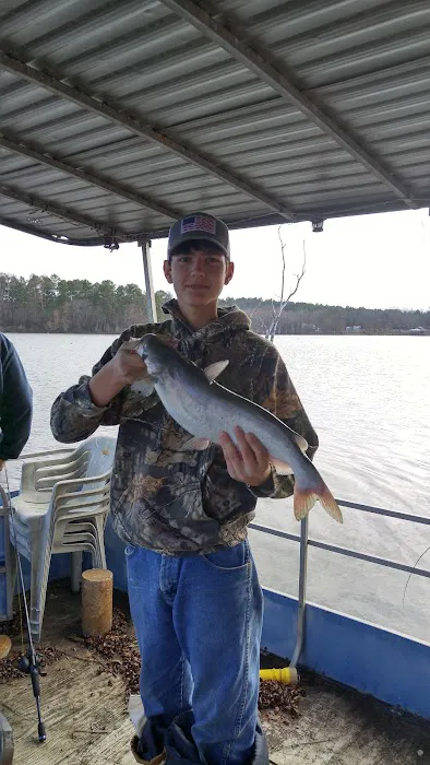 Esto Landing Picture 5