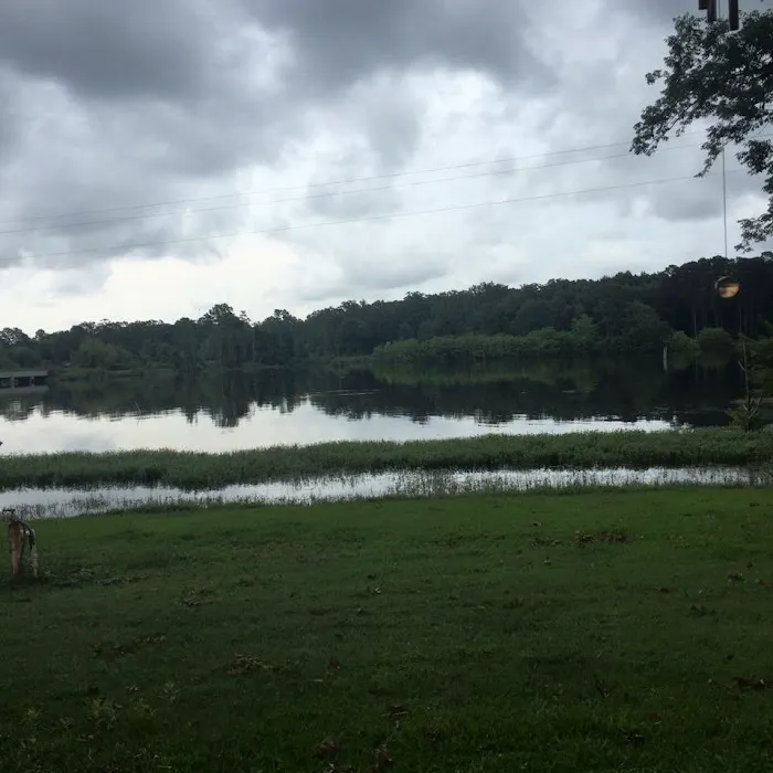 Esto Landing Picture 7