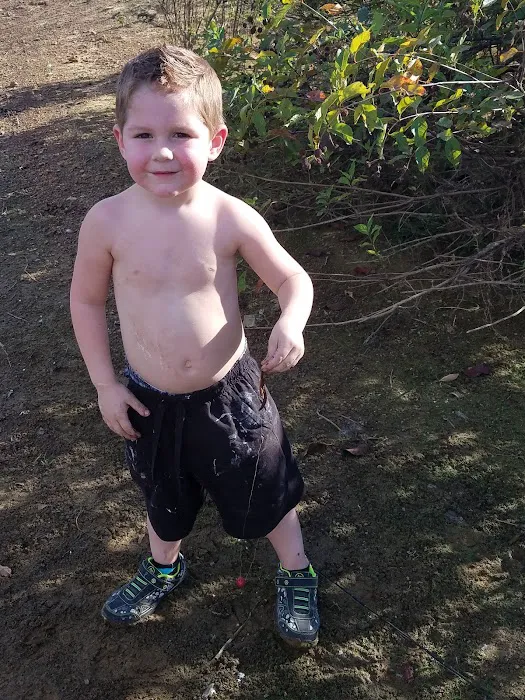 Esto Landing Picture 4