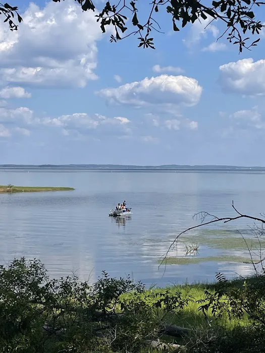 Indian Mounds Campground - Sabine National Forest Picture 7