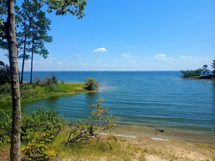 Indian Mounds Campground - Sabine National Forest Picture 8