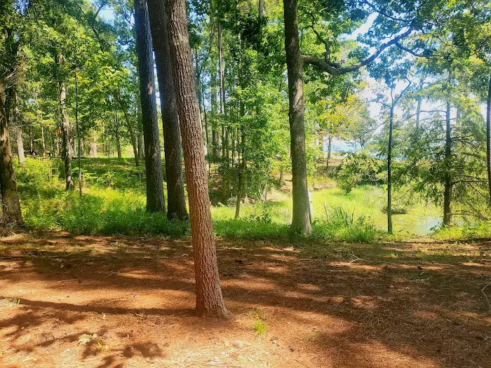 Indian Mounds Campground - Sabine National Forest Picture 5