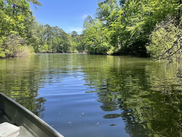 Indian Mounds Campground - Sabine National Forest Picture 1