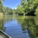 Indian Mounds Campground - Sabine National Forest