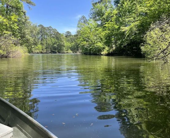 Indian Mounds Campground - Sabine National Forest