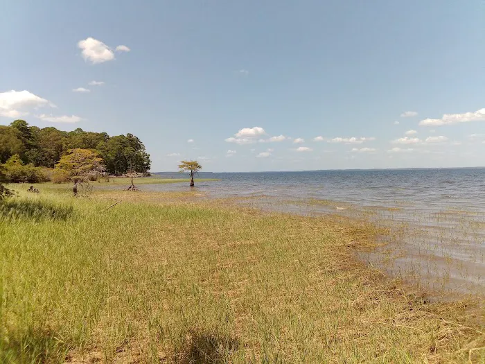 Lakeview Recreation Area Picture 1