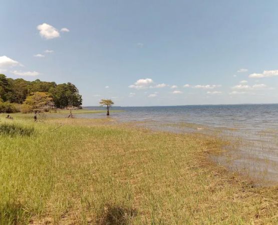 Lakeview Recreation Area