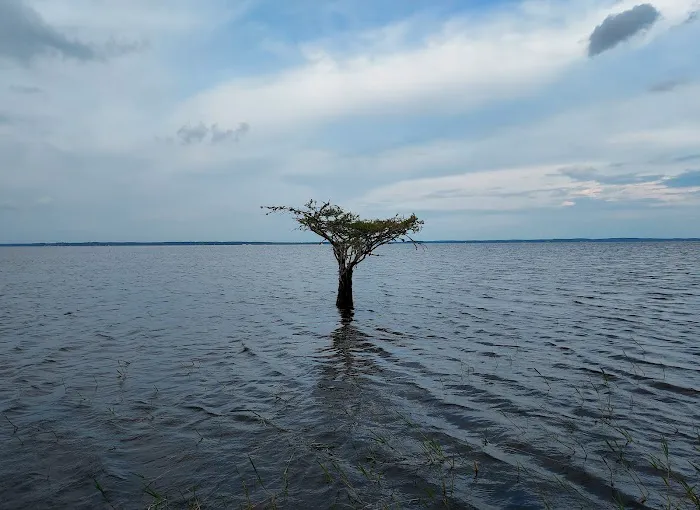 Lakeview Recreation Area Picture 9