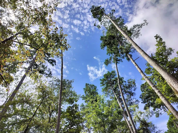 Lakeview Recreation Area Picture 2