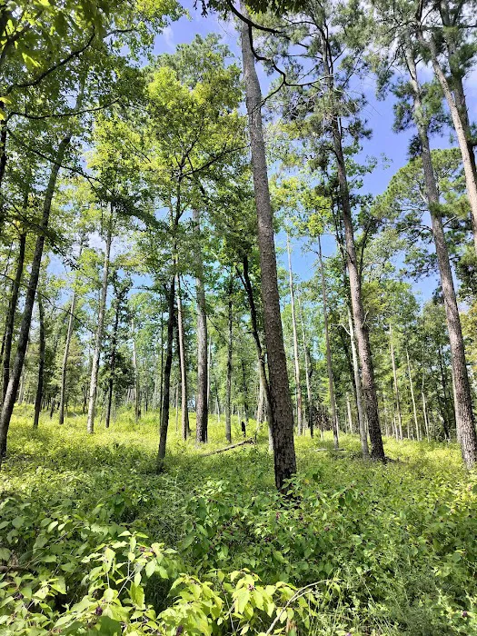 Lakeview Recreation Area Picture 6