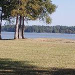 Al's Waterfront RV Resort, LLC