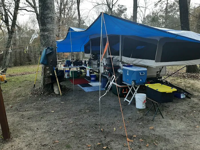 Willow Oak Campground - Sabine National Forest Picture 3