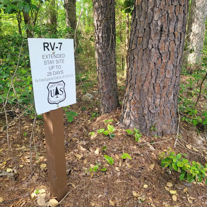 Willow Oak Campground - Sabine National Forest Picture 8