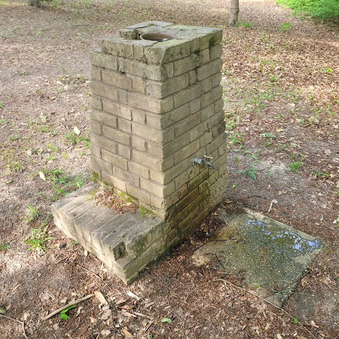 Willow Oak Campground - Sabine National Forest Picture 1