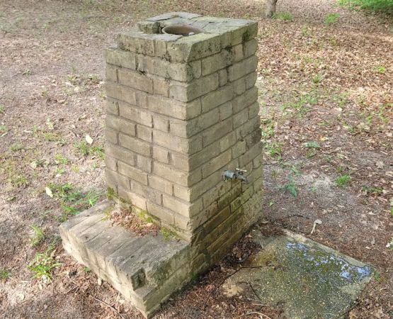 Willow Oak Campground - Sabine National Forest