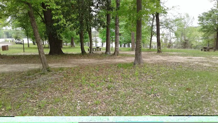 Willow Oak Campground - Sabine National Forest Picture 6