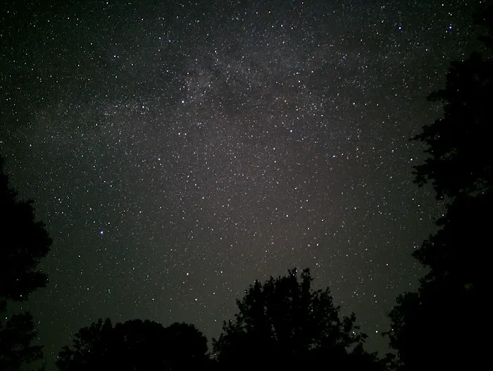 Willow Oak Campground - Sabine National Forest Picture 7