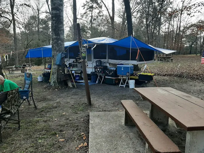 Willow Oak Campground - Sabine National Forest Picture 5