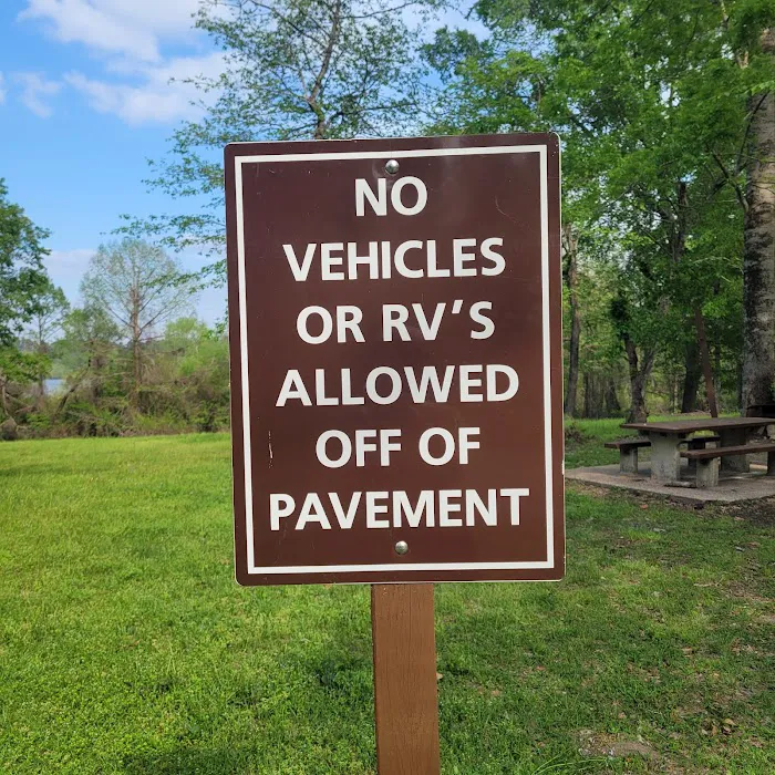 Willow Oak Campground - Sabine National Forest Picture 10