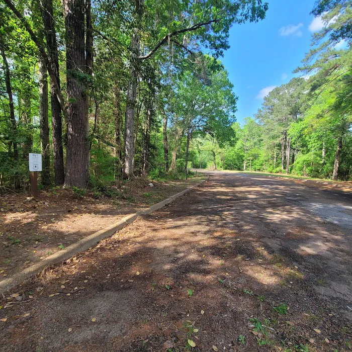 Willow Oak Campground - Sabine National Forest Picture 4