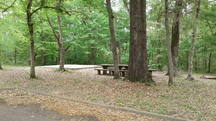 Willow Oak Campground - Sabine National Forest Picture 2