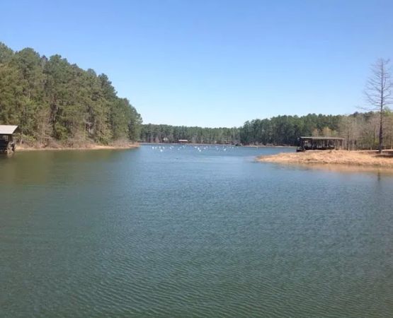 Pleasure Point Park-SRA