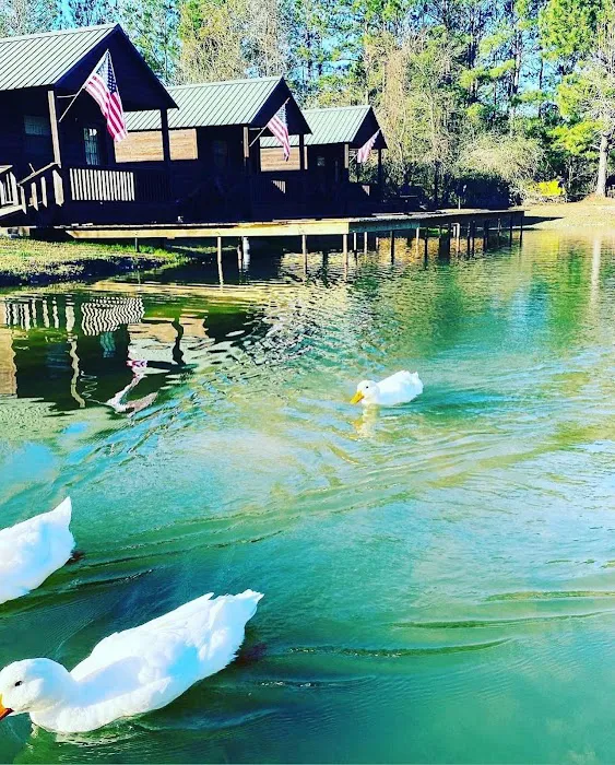 Brookeland / Lake Sam Rayburn KOA Holiday Picture 7