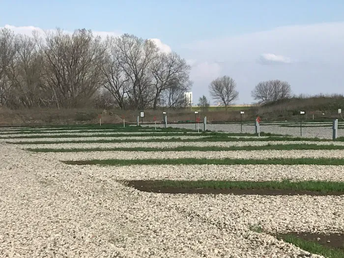 York KAMPground Picture 1