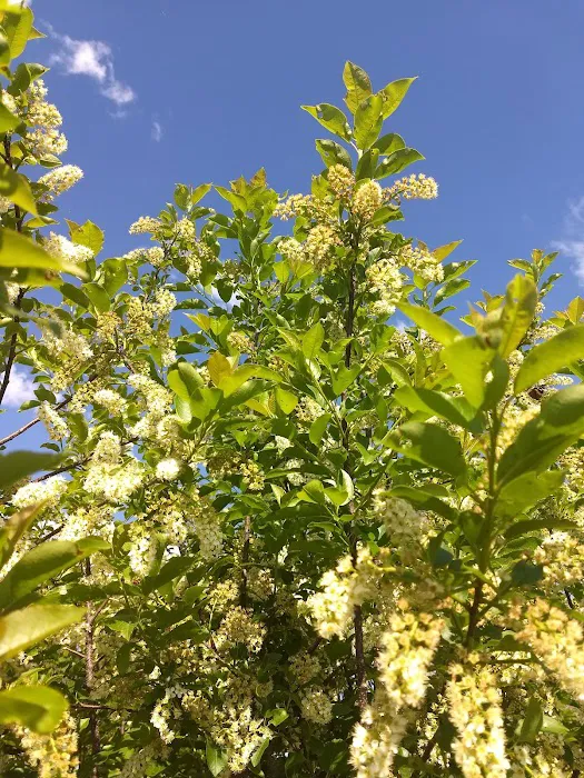 Recharge Lake Picture 7