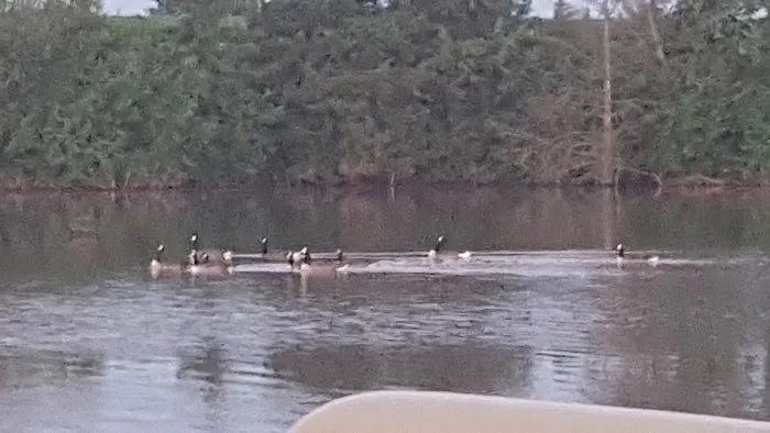 Recharge Lake Picture 5