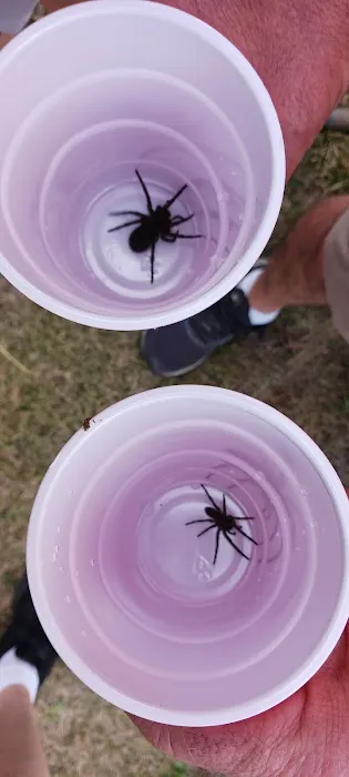 Willard Meyer Lake Picture 7