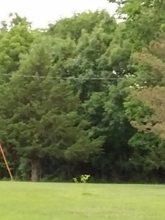 Camp Mt Hermon Picture 9