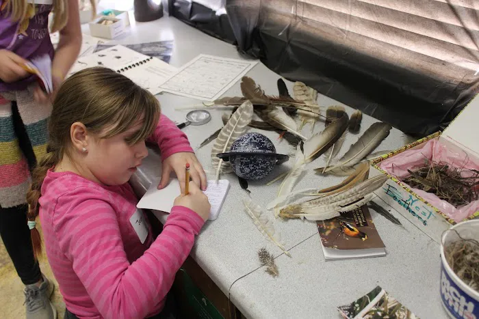 Camp Tongawood Picture 10