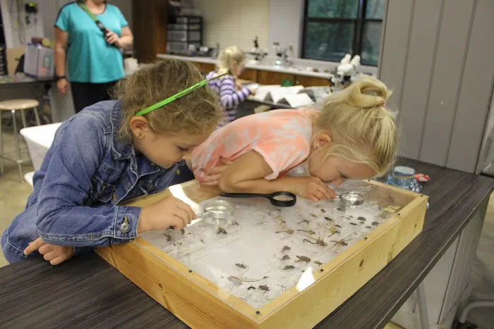 Camp Tongawood Picture 4