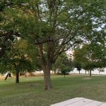 Rockford SRA Swimming Beach