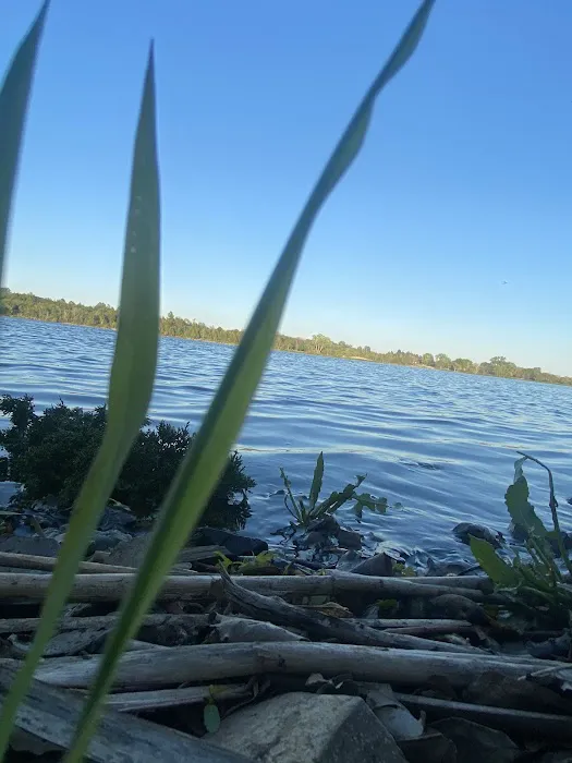 Rockford SRA Swimming Beach Picture 7