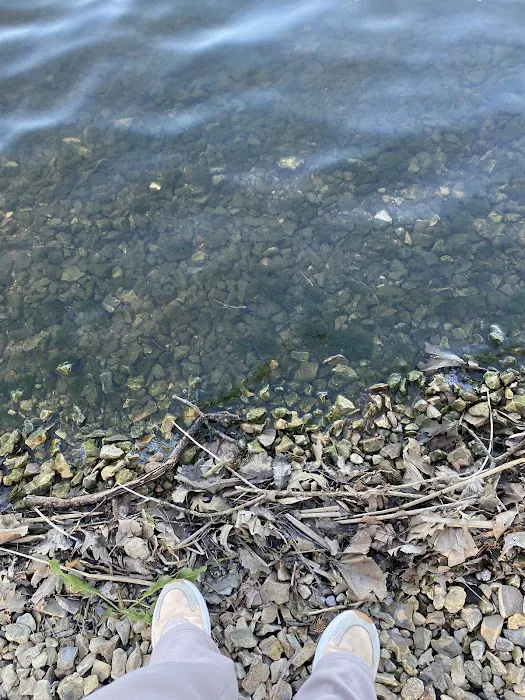 Rockford SRA Swimming Beach Picture 10