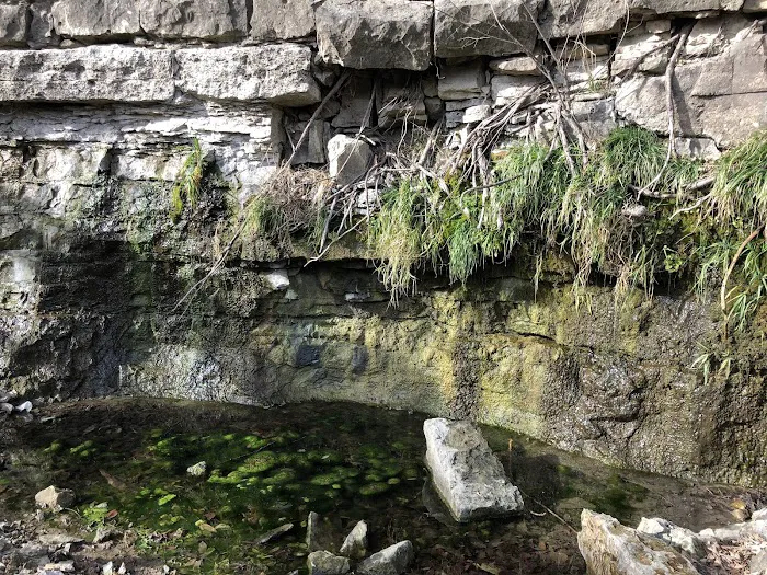 Feit Memorial Park Campground Picture 2