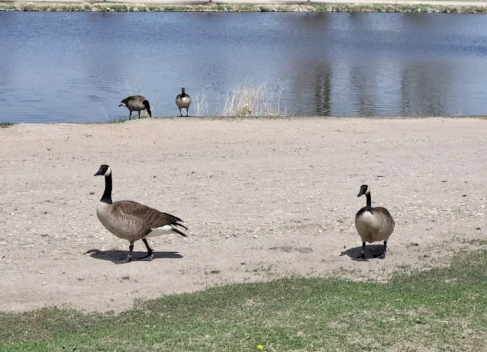 Crystal Springs Campground Picture 2