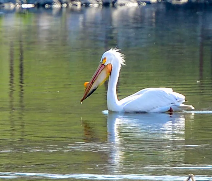 Crystal Springs Campground Picture 7