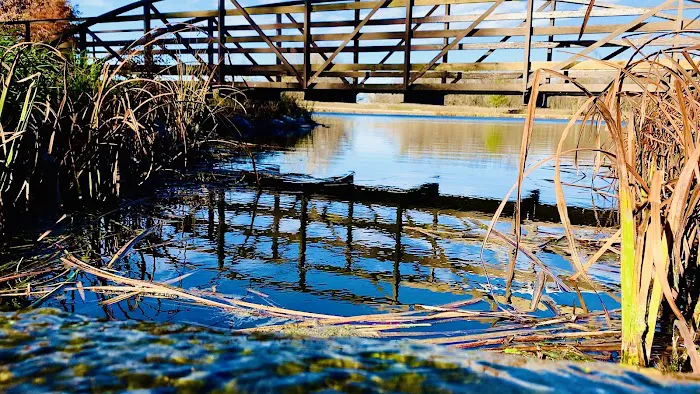 Crystal Springs Campground Picture 4