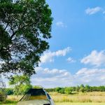 Buckley Creek Recreation Area