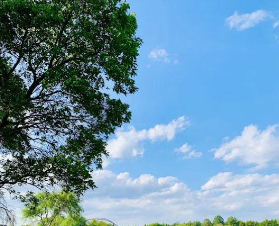 Buckley Creek Recreation Area