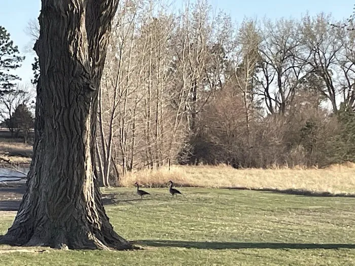 Prairie Oasis RV Park Picture 6