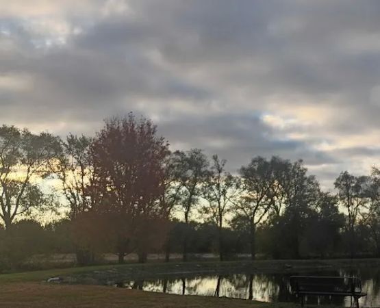 Pawnderosa City Pond & Campsite