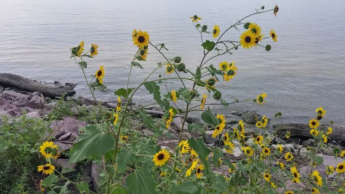 Burbach Campground Picture 4