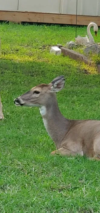 LH Campground, Fishing, Pavillion Picture 2