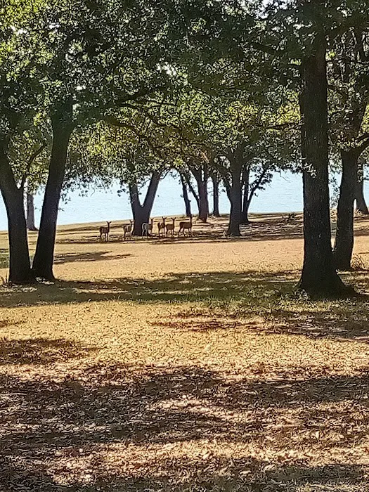 LH Campground, Fishing, Pavillion Picture 6
