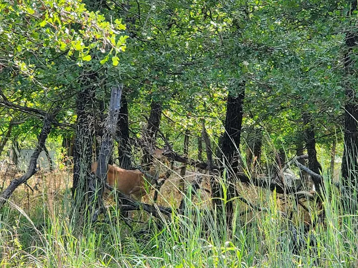 LH Campground, Fishing, Pavillion Picture 4